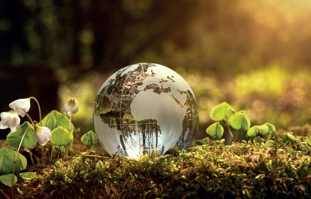 glass ball with continents on forest floor