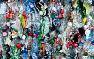 3.8 Million plastic bottles turned into eyeglasses